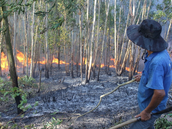Hai vụ cháy rừng nghiêm trọng liên tiếp xảy ra tại Nghệ An ảnh 1