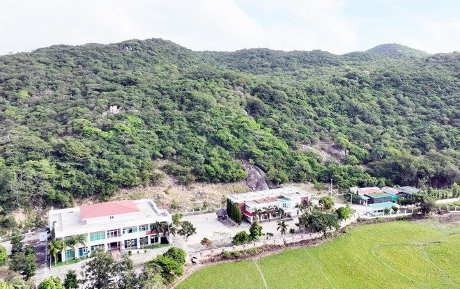 Ninh Thuận nói gì về việc chuyển hơn 11ha rừng làm dự án du lịch? ảnh 2