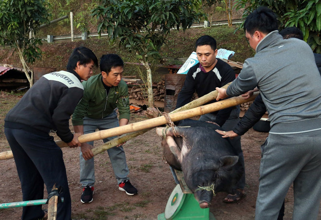 Về cực Tây Tổ quốc, vui Tết Khù Sự Chà của dân tộc Hà Nhì ảnh 3
