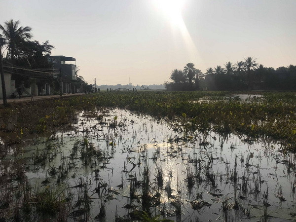 Thanh Hóa: 4.000l dầu của một chi nhánh xăng dầu tràn ra môi trường ảnh 1