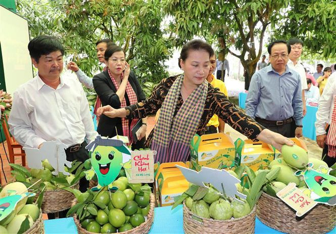 Chủ tịch Quốc hội Nguyễn Thị Kim Ngân thăm làm việc tại tỉnh Đồng Tháp ảnh 5