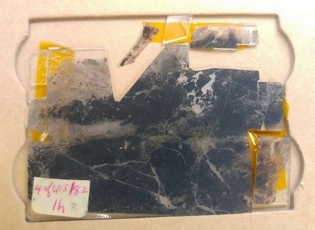 Mẫu đá này được lấy từ Apex Chert, một hệ thống đá ở phía Tây nước Australia, một trong những mỏ đá lớn nhất và được bảo quản tốt nhất trên thế giới vào năm 1982 và sớm được tìm thấy có chứa bằng chứng về cuộc sống sớm trên trái đất. (Nguồn: mirror.co.uk) Giới khoa học tìm ra bằng chứng sự sống lâu đời nhất trên Trái Đất ảnh 1