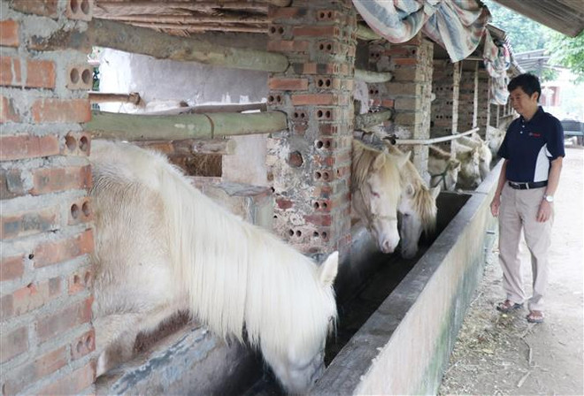 Ứng dụng khoa học hiện đại bảo tồn, phát triển nguồn gene ảnh 2