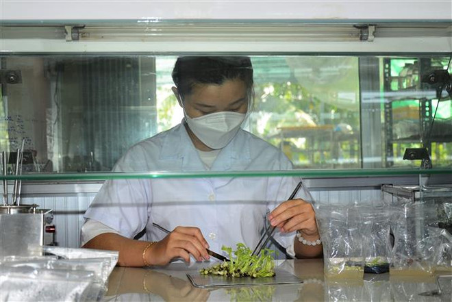 Ứng dụng khoa học hiện đại bảo tồn, phát triển nguồn gene ảnh 3