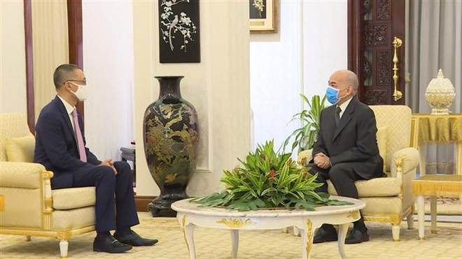 Đại sứ Vũ Quang Minh yết kiến và chào từ biệt Quốc vương Campuchia ảnh 1