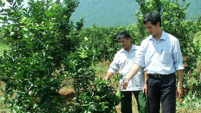 Đổi thay trên quê hương cách mạng Đèo Lũng Lô huyền thoại ảnh 1