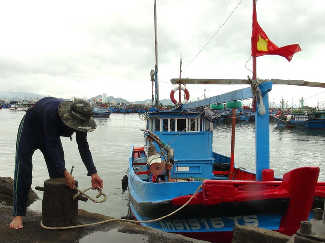 Bình Định khẩn trương tìm kiếm tàu cá bị mất liên lạc trên biển ảnh 1