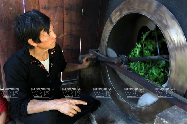 [Photo] “Vàng xanh” trên cao nguyên Tủa Chùa- Điện Biên ảnh 8