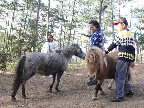 Đà Lạt đông nghẹt du khách trong dịp nghỉ lễ 30/4 và 1/5 ảnh 1