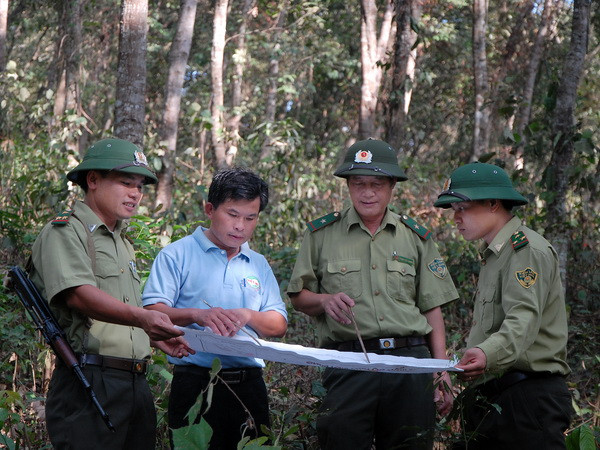 Ninh Thuận thành lập 3 tổ kiểm tra lưu động để bảo vệ rừng ảnh 1