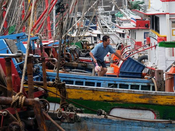 Trung Quốc huy động 35.000 binh sỹ cứu hộ trong bão Megi ảnh 1