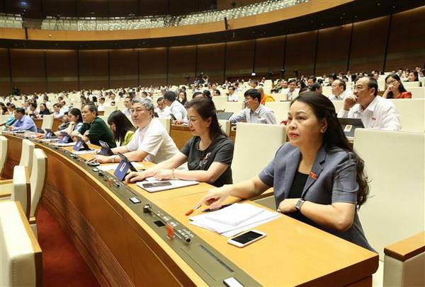 Xin ý kiến 3 nội dung trong dự thảo Luật Phòng, chống tác hại rượu bia ảnh 2