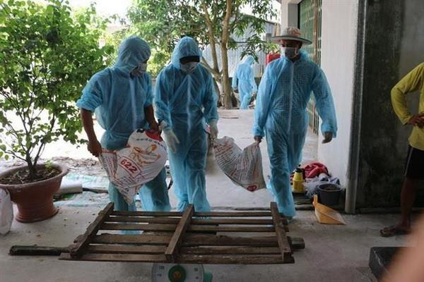 Dịch tả lợn châu Phi lây lan nhanh, đã xuất hiện tại 52 tỉnh, thành ảnh 2