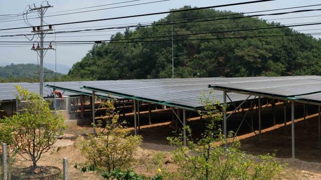 Phát triển điện Mặt Trời ở Tây Nguyên: Đánh thức tiềm năng ảnh 1