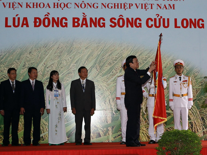 Chủ tịch nước Trương Tấn Sang gắn Huân chương Độc lập hạng Nhất lên lá cờ truyền thống của Viện. (Ảnh: Duy Khương/TTXVN) Viện Lúa ĐBSCL đón nhận Huân chương Độc lập hạng nhất ảnh 1