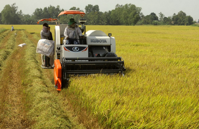 Các tỉnh miền Bắc nhiệt độ tăng 2-3 độ C, Nam bộ hết nắng nóng ảnh 1