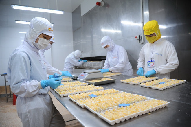 Xuất khẩu tôm của Cà Mau. (Ảnh: Huỳnh Anh/TTXVN) Mặt hàng tôm Việt Nam giữ vị thế số 1 tại nhiều thị trường ảnh 1