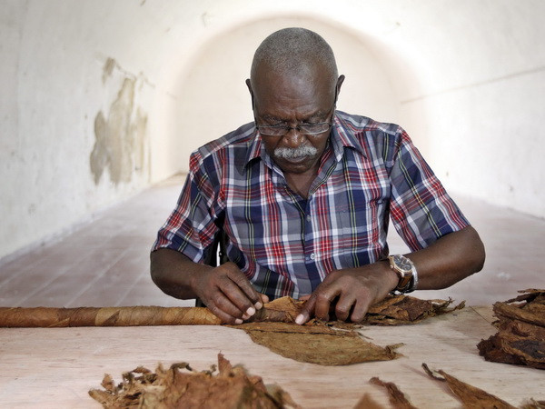 Nghệ nhân Cuba lập kỷ lục Guiness mừng sinh nhật Fidel Castro ảnh 1