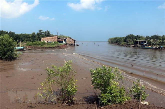 Triều cường gây sóng cao từ 2-4,5m ven biển các tỉnh Nam Bộ ảnh 2