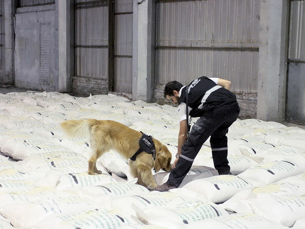 Colombia tịch thu hơn 1 tấn cocaine trong chiến dịch đầu Năm mới ảnh 1