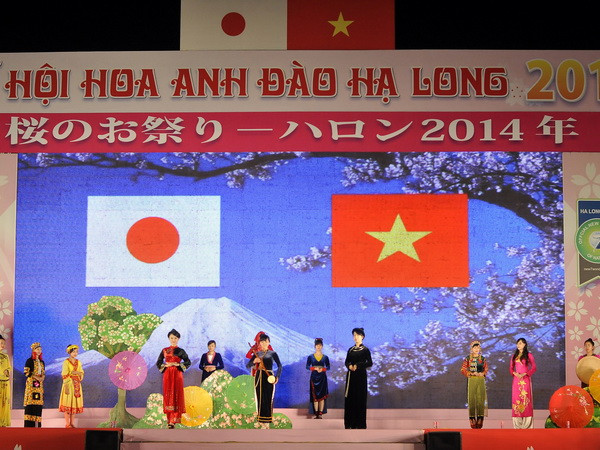 Sắp tổ chức Lễ hội hoa Anh đào Hạ Long 2015 tại Quảng Ninh ảnh 1