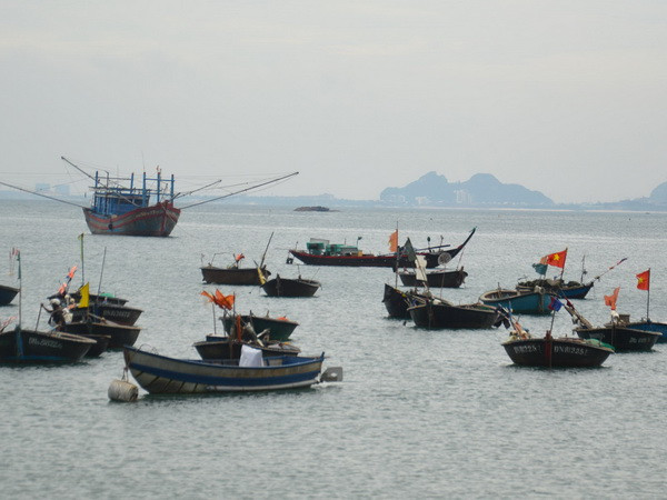 Phân bổ hạn ngạch khai thác nguồn lợi thủy sản cho địa phương ảnh 1