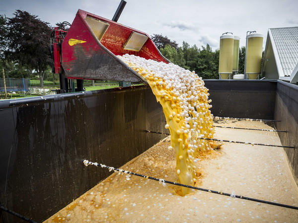 Tập đoàn hóa chất BASF hạn chế sử dụng fipronil đang gây bê bối ảnh 1