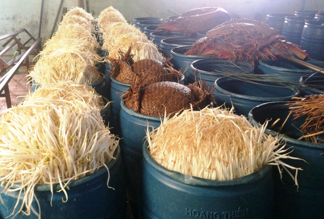 Phát hiện hơn 800kg giá đỗ ngâm hóa chất sắp mang đi tiêu thụ ảnh 1