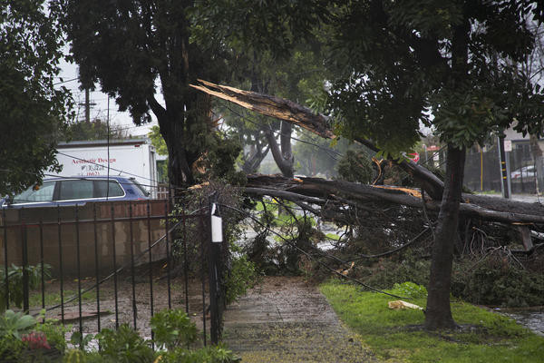 Bão lớn hoành hành ở bang California, hàng trăm người phải sơ tán ảnh 1