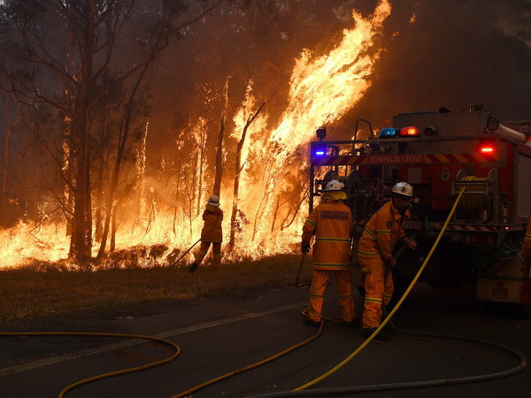 Chile ban bố lệnh báo động đỏ do cháy rừng thiêu rụi hơn 50ha ảnh 1