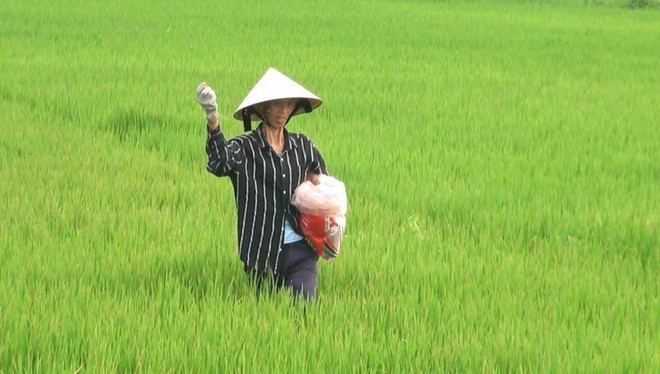 Tập trung đất đai, từ cách làm riêng từ Quê hương năm tấn ảnh 2