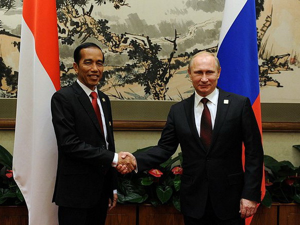 Lãnh đạo Indonesia-Nga nhất trí tăng hợp tác công nghiệp quốc phòng ảnh 1