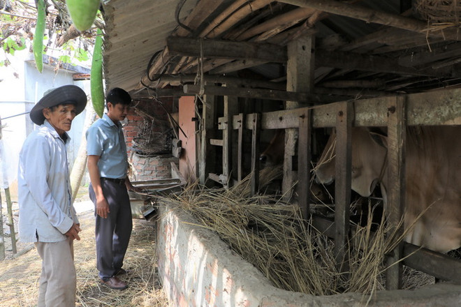 Quảng Ngãi: Vượt qua nỗi đau, Sơn Mỹ đang đổi thay từng ngày ảnh 2
