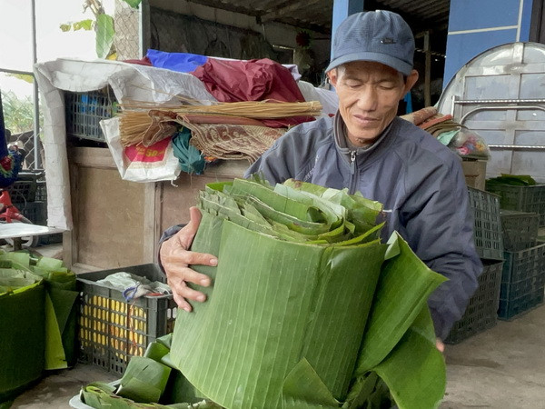 Lá chuối được lau sạch, dùng làm lớp lót bên trong bánh. (Ảnh: Thanh Thủy/TTXVN) Quảng Trị: Làng bánh tét Mặt Trăng hối hả vào vụ Tết Nguyên đán ảnh 2