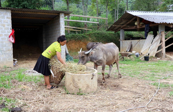 Tìm giải pháp nâng cao đời sống vùng đồng bào dân tộc thiểu số ảnh 2