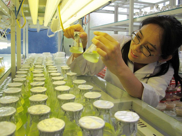 Hội nghị mạng lưới đại học Đông Nam Á về đảm bảo chất lượng ảnh 1