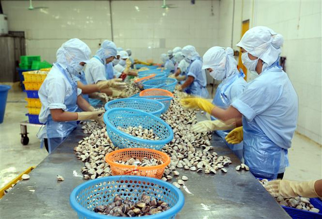 ttxvn_1411_che bien ngao.jpg