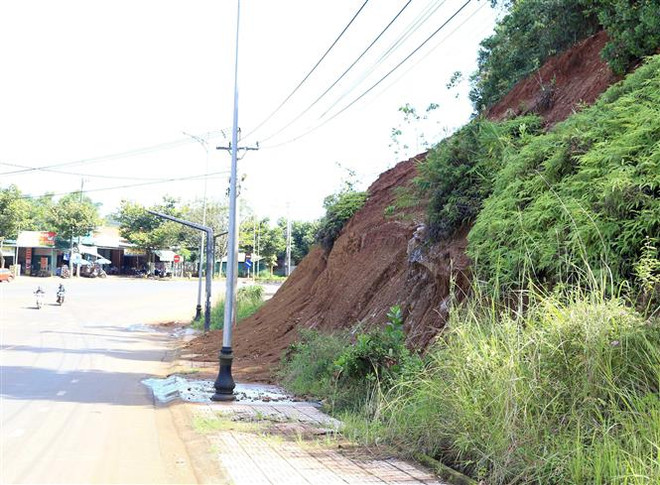 ttxvn_1411_dak nong sat lo (2).jpg