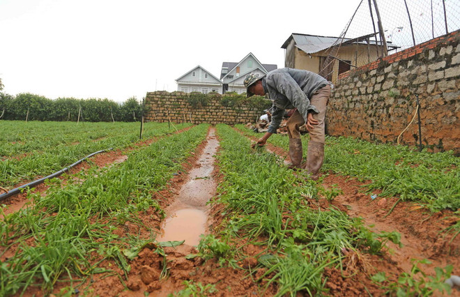 Từ Thanh Hóa đến Tây Nguyên có khả năng xảy ra tố lốc, mưa đá ảnh 1