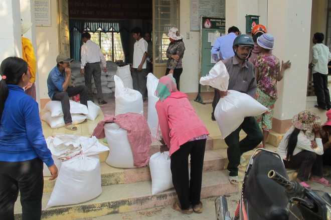 Cấp phát gạo dự trữ cho dân bị ảnh hưởng do cá chết bất thường ảnh 1