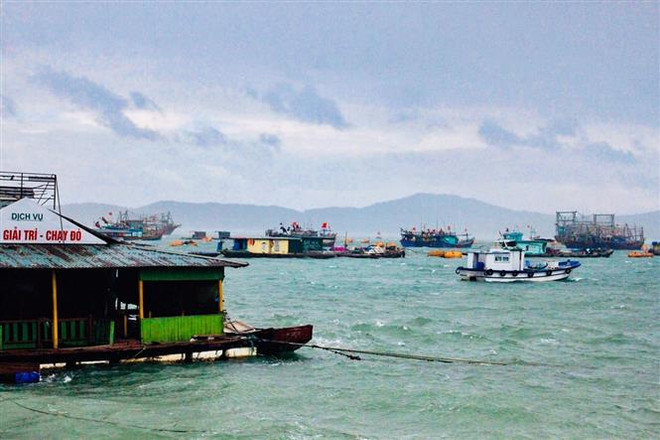 Một góc đảo Cô Tô. (Ảnh: TTXVN phát) Thí điểm thành lập Ban Quản lý Khu kinh tế Vân Đồn ảnh 1