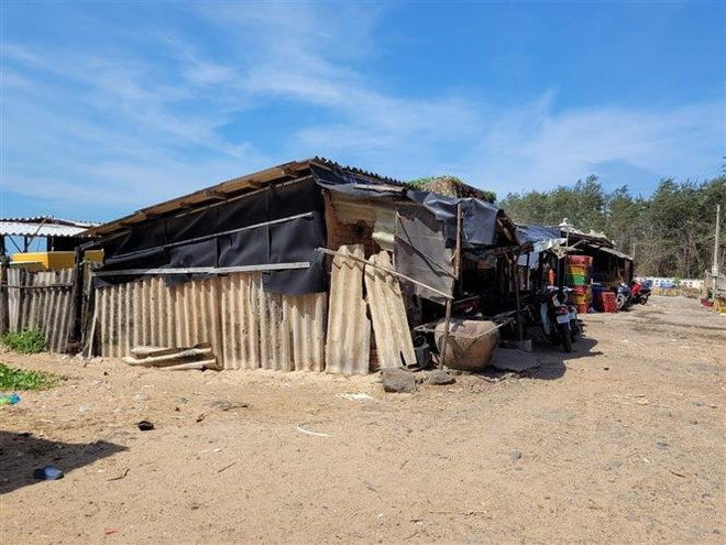 BR-VT đẩy nhanh di dời cơ sở chế biến hải sản vào khu tập trung ảnh 2