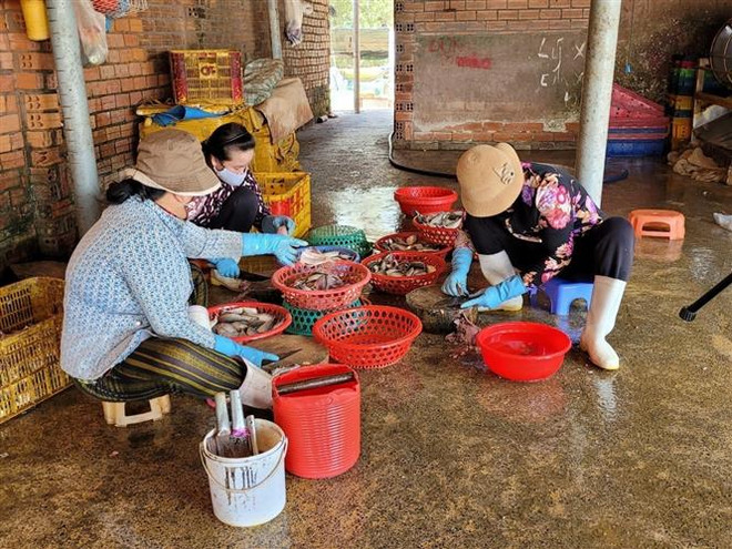 BR-VT đẩy nhanh di dời cơ sở chế biến hải sản vào khu tập trung ảnh 1