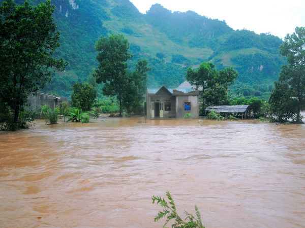 WB tìm hiểu những tác động của biến đổi khí hậu tại Bến Tre ảnh 1