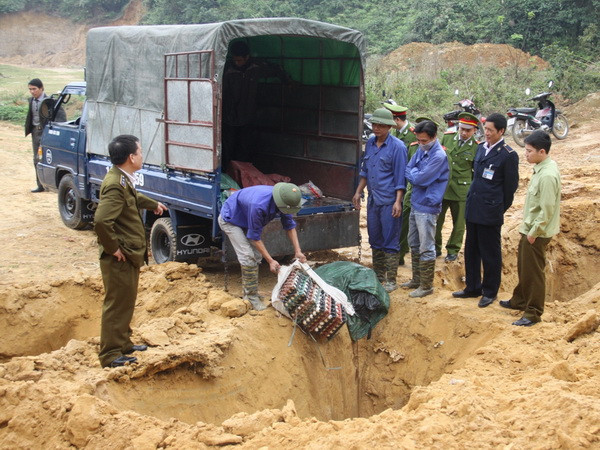 Công an tỉnh Lào Cai tiêu hủy hơn 260kg thực phẩm nhập lậu ảnh 1