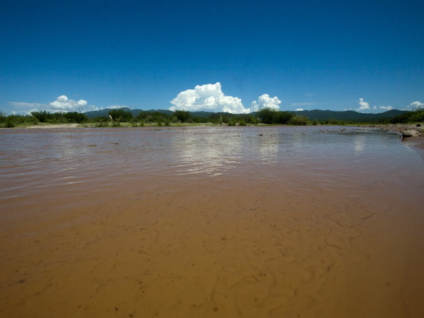 Mexico ban bố báo động sau vụ tràn hóa chất độc hại xuống sông ảnh 1