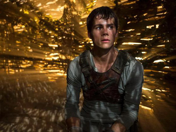 "Giải mã mê cung" đánh bại phim mới của tài tử Liam Neeson ảnh 1