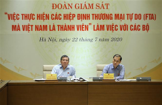 Giám sát việc thực hiện các Hiệp định FTA mà Việt Nam là thành viên ảnh 1