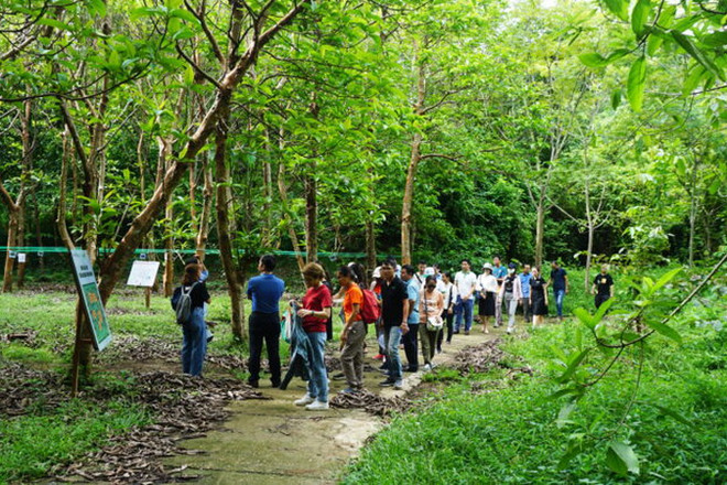 Dịch vụ hệ sinh thái: Thu hút các nguồn lực bảo tồn đa dạng sinh học ảnh 2