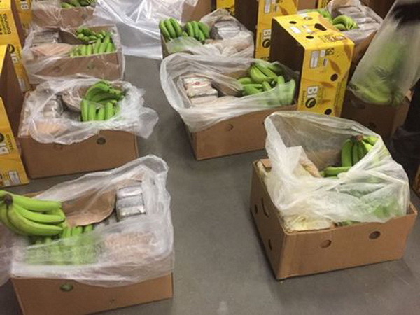 Hơn 2 tấn cocaine giấu trong container chở chuối bị bắt giữ ảnh 1